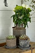 Bouquet of white flowers in vintage milk churn and succulents in rustic clay pots on workbench