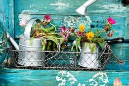 Plant in zinc watering cans on DIY potting table