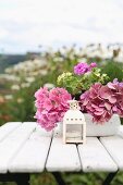 Small, white-painted lantern in front of bowl of pink hydrangeas on garden table