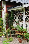 Gravel terrace with potted plants on bench against veranda of small wooden house
