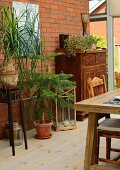 Teilweise sichtbarer Tisch, im Hintergrund Topfpflanzen auf Blumenständer und Holzboden, antiker Holzschrank, vor Ziegel Hauswand eines Anbaues