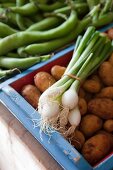 Fresh vegetables (potatoes, spring onions) in wooden crate