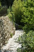 Paved path on slope with stone wall to one side in Mediterranean garden