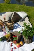 Picnic on lawn with fruit and potted wild strawberry