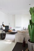 Polstersofa, schwarzer Beistelltisch und Couchtisch in elegantem Loungebereich, seitlich Kaktus im Topf