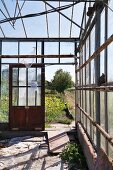 View into garden from greenhouse