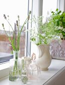 Sprigs of lavender in vintage glass bottle and white china jug of yarrow on windowsill