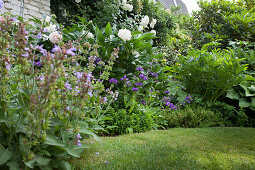 Blühender Lerchensporn, weiße Pfingstrosen und Rosenbusch in gepflegtem Garten