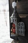 Zinc lantern filled with apples and peanuts for feeding birds