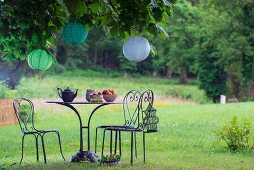 Curved metal table and chairs below lanterns hung in chestnut tree