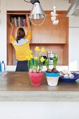 Blumentöpfe mit Narzissen und Hyazinthen auf Küchentheke, im Hintergrund Frau vor Bücherschrank aus Holz