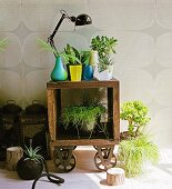 Mobile vintage shelf decorated with flower pots