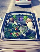 Urban gardening: young woman with foliage plants and vegetable plants in convertible car