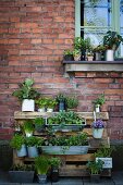 Plant stand made from pallet against house façade