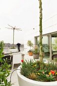 Grosser, weisser Pflanztopf mit Baumstamm auf Terrasse eines zeitgenössischen Penthouses, Sitzplatz mit modernen Outdoor Stühlen, im Hintergrund Mann am Geländer