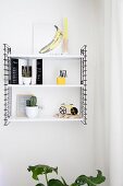 Yellow ornaments and cacti on modern black and white metal shelves