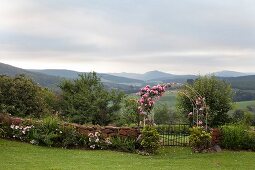 Half-height garden wall, pink climbing rose on archway over gate and mountain landscape in background