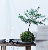 Bird ornament in small fir tree in moss ball next to lit candle