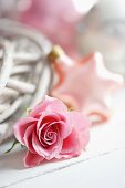 Rosa Rosenblüte; im Hintergrund verschwommen ein weihnachtlicher Sternanhänger