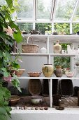 Vases and bowls on white-painted shelves below glass roof in greenhouse
