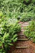 Gravel path with wooden steps in landscaped, natural garden