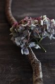 Hydrangeas and a branch as decorative material