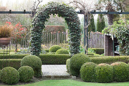 Ivy-covered trellis arch and box balls in garden