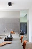 Kücheninsel mit Betonplatte und integrierter Spüle, hellgrauer Schrank an Wand neben raumhoher Verglasung mit Durchblick in Wohnraum