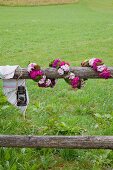 Garland of Sweet Williams wrapped around wooden fence beam