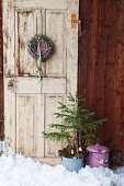 Wreath of pine cones and small Christmas tree in front of old door
