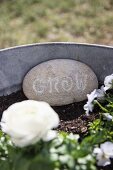 Stein mit weisser Gravur und weiße Rose in verzinktem Metall Blumentopf