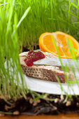 A sliced of bread spread with jam and served with half an orange on grass
