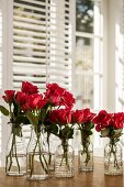 Red roses in various retro glass bottles on table