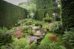Idyllic green garden wit tall hedge, stone-flagged path, stream and wooden bridge