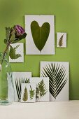 Verschiedene gepresste Blätter in Wechselrahmen an grün getönter Wand, Zierkohl in Glasvase daneben