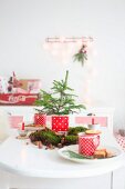 Kleiner Tannenbaum in Metalldose und Moos auf weihnachtlichem Tisch
