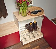 DIY shoe cabinet with boot rack above drip tray