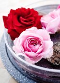 Red and pink roses floating in glass dish