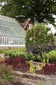 Vegetable beds and greenhouse in garden with Swedish house in background
