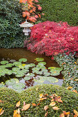 Oriental-style, autumnal garden
