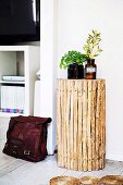 Side table made of wooden sticks, green plants in pharmacist glasses