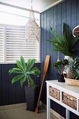 Palm tree next to wooden paddle and white wall table against blue wooden wall