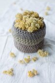 Dried everlasting flowers in crocheted basket on linen cloth