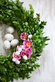 Wreath of box decorated with pink primulas and small speckled eggs