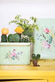 Cacti planted in vintage tin with floral pattern