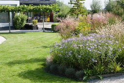 Herbaceous borders and mown lawn in well-tended garden