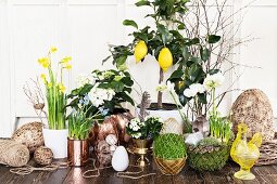 Oster-Arrangement mit verschiedenen Pflanzen und Eiern