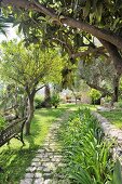 Mediterraner Garten mit Gartenbank und Bäumen