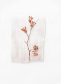 Branch of pale pink flowers on scrap of fabric