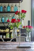 Red roses in laboratory flasks in metal lab stand on rustic table